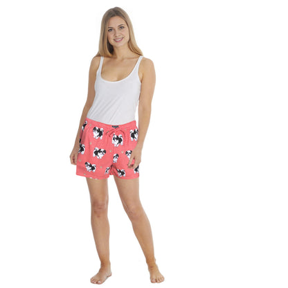 Shih Tzu Shorts